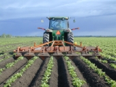 Cultivator de rand Struik ZF