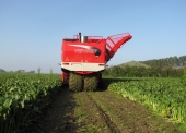 Beet Eater 625