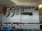 Piese pentru cultivator