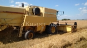 Combina New Holland TX 36