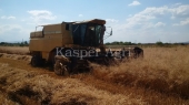 Combina New Holland TX 36