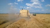 Combina New Holland TX 36