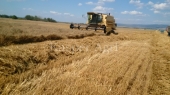 Combina New Holland TX 36