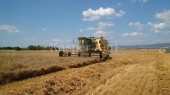Combina New Holland TX 36