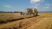 Combina New Holland TX 36